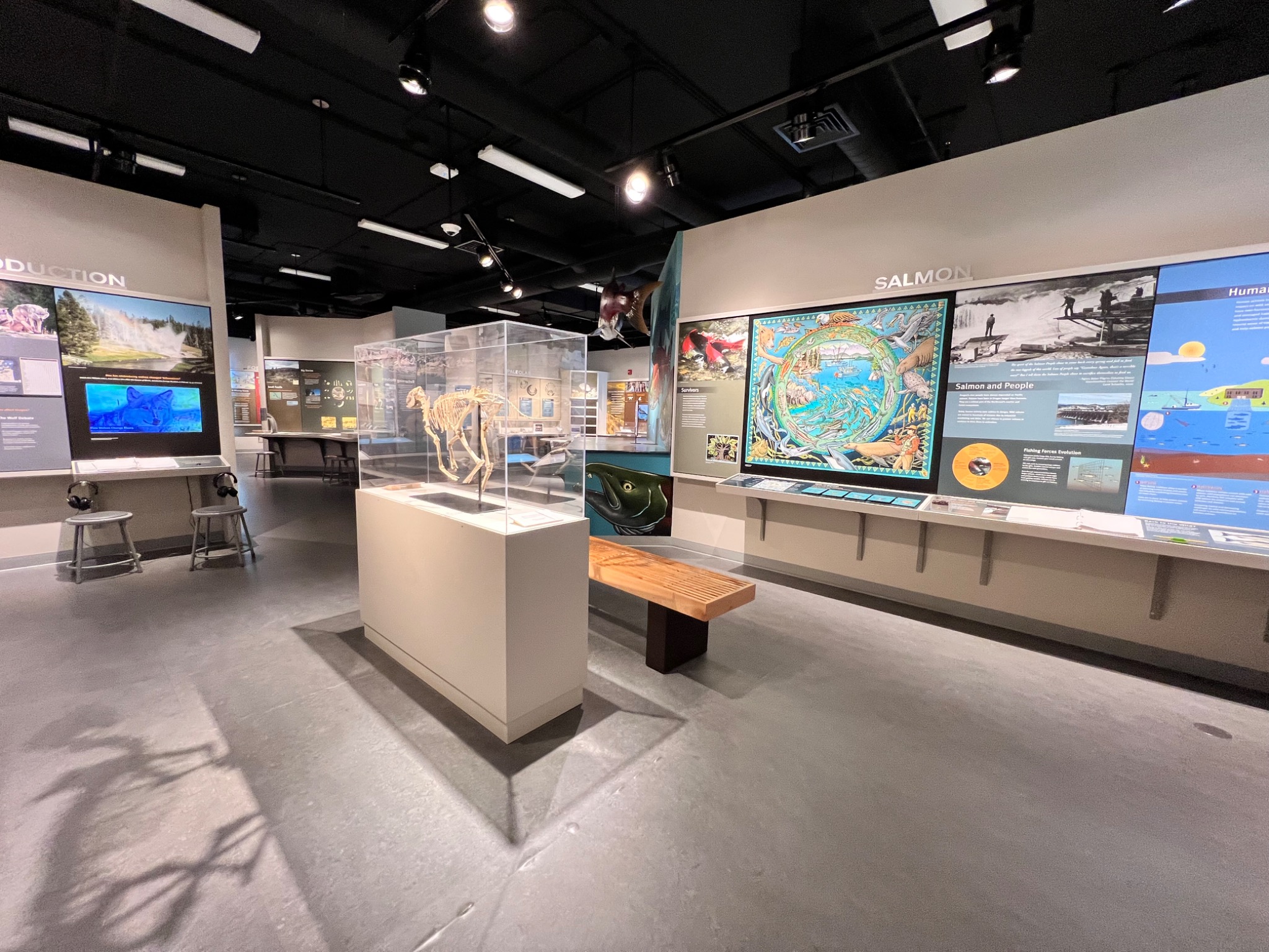 Museum of Natural and Cultural History